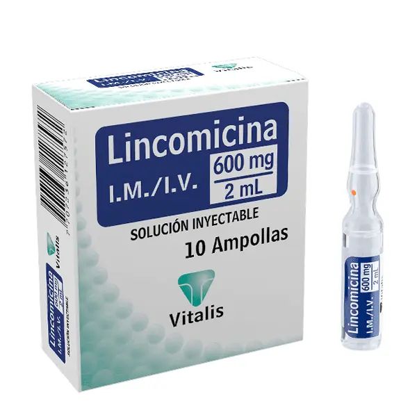 Lincomicina 600 Mg/2ml Vitalis Caja X 1 Ampolla