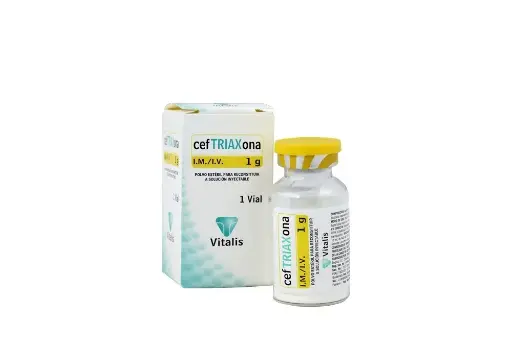 Ceftriaxona 1g Ampollas