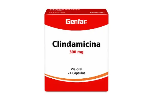 Clindamicina 300 Mg Caja Con 24